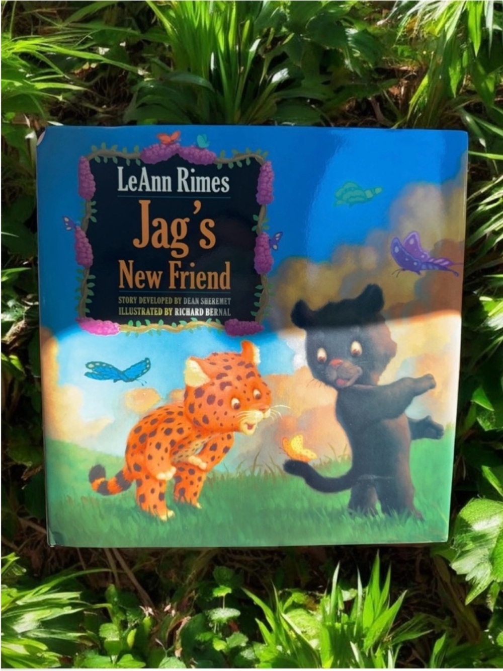 LeAnn Rimes "Jag's New Friend" Children's Book - Colorful Illustrated Cover